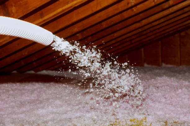 Best Specialized Insulation Services in Kissimmee, FL