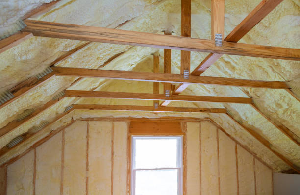 Professional Insulation Contractor in Kissimmee, FL