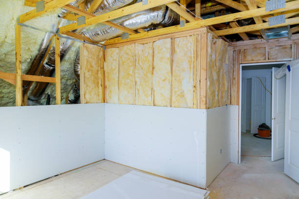 Professional Insulation Contractor in Kissimmee, FL