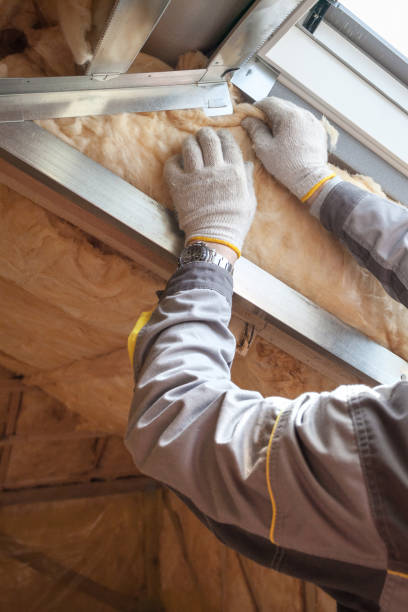 Types of Insulation We Offer in Kissimmee, FL