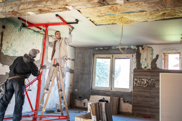 Best Cellulose Insulation in Kissimmee, FL