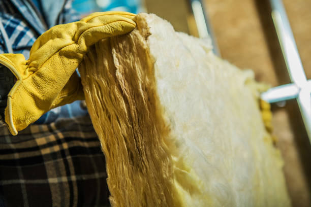 Best Eco-Friendly Insulation in Kissimmee, FL