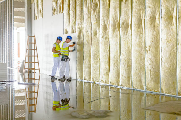 Best Commercial Insulation in Kissimmee, FL